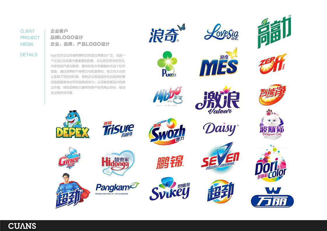 传狮品牌设计 日化行业Logo设计与平面视觉如何深化企业形象策划